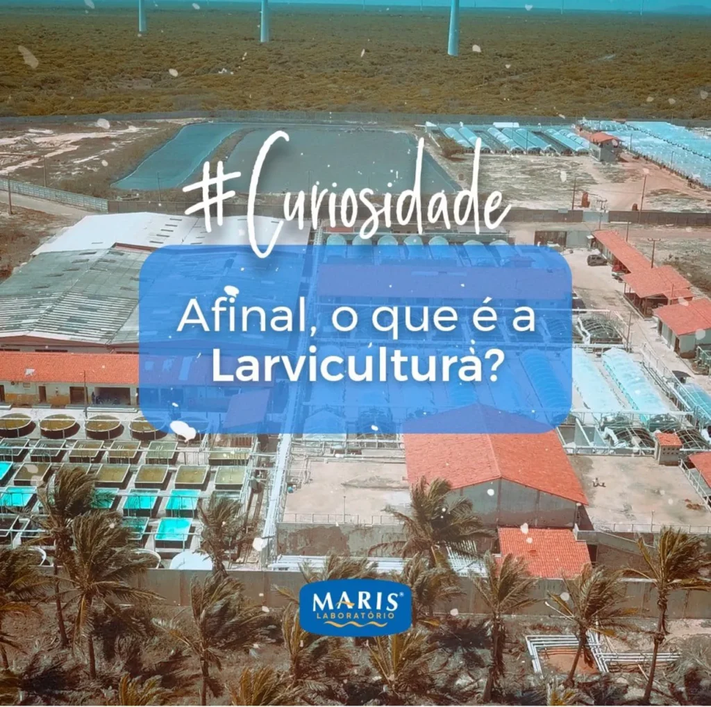 Tanques modernos da Maris laboratório usados na larvicultura de camarões em Aracati, Brasil."
